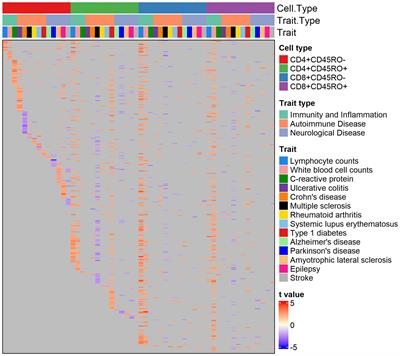 Polygenic risk associated with Alzheimer’s disease and other traits influences genes involved in T cell signaling and activation